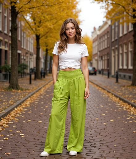 Alette | Comfortabele Hoge Taille Geplooide Broek voor Dames